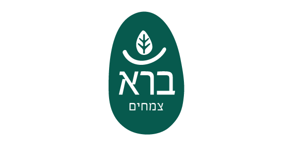 ברא-01